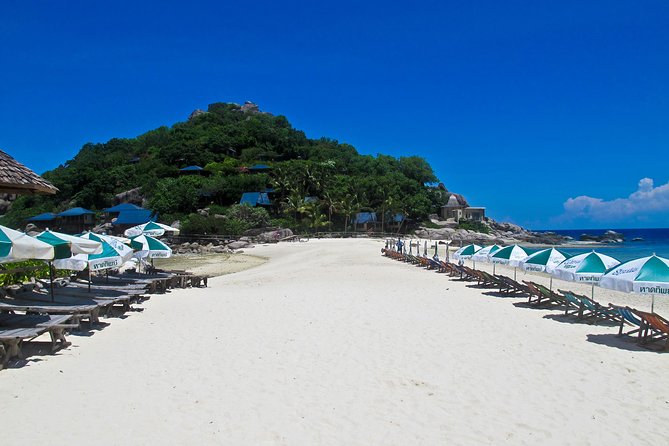Koh Tao and Koh Nang Yuan Snorkel Tour (Speedboat from Koh Samui) - Snorkeling success habits: how to make your time count