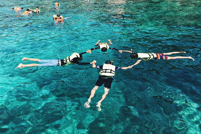 Koh Tao and Koh Nang Yuan Snorkeling Trip By Speedboat From Koh Samui - Practical tips to make the day smoother on the water
