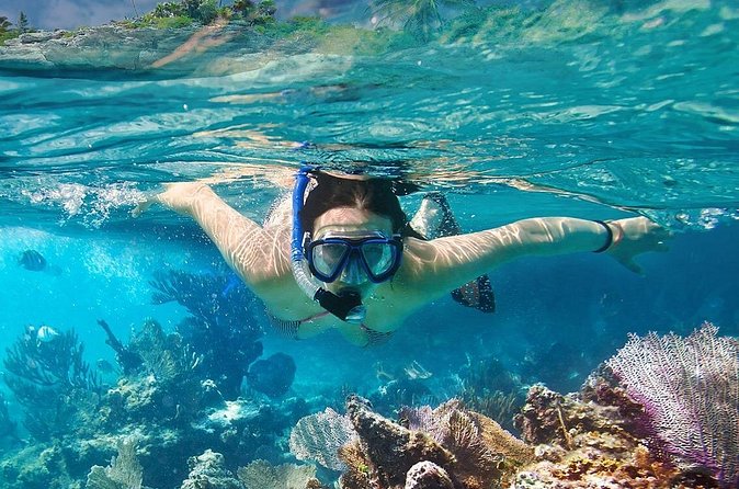 Koh Tao and Koh Nangyuan Snorkeling Tour by Speedboat from Ko Samui - The Snorkeling Gear and Guide Role (Why It Matters)