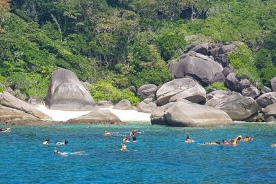 Koh Tao & Koh Nang Yuan Snorkeling Tour by Speed Boat from Samui - What You Really Get for the $61.52 Price