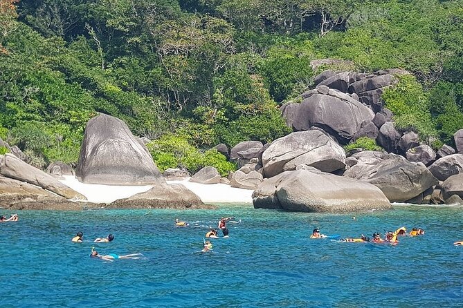 Koh Tao & Koh Nang Yuan Snorkeling Tour by Speed Boat from Samui - What You Really Get for the $61.52 Price