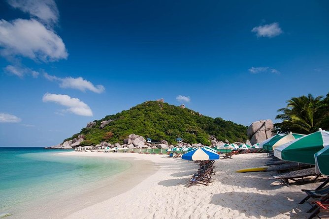Koh Tao & Koh Nangyuan by Speed Boat (Snorkeling trip from Koh Samui) - Key highlights you’ll actually care about