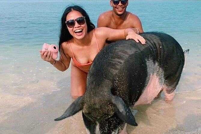 kohsamui.tours - Pig Island Snorkeling Eco Tour by Speed Boat - Key takeaways before you go