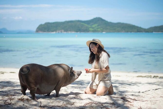 kohsamui.tours - Pig Island Snorkeling Eco Tour by Speed Boat - From hotel pickup to Thong Krut: how the morning really starts