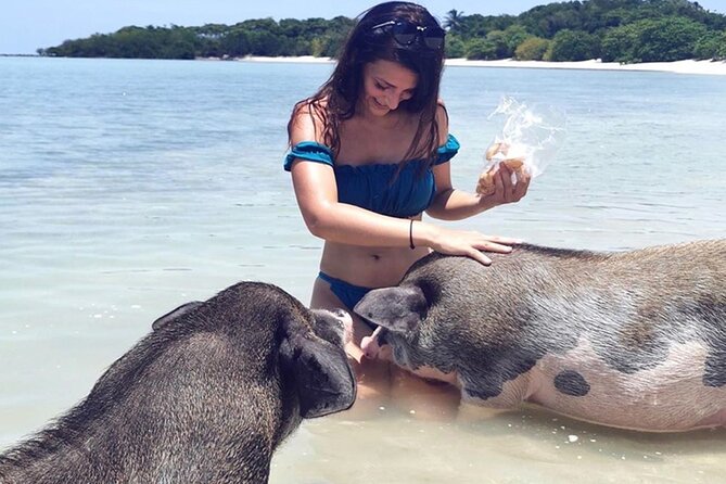 kohsamui.tours - Pig Island Snorkeling Eco Tour by Speed Boat - Kayaking and beach time: how you’ll actually spend the middle of the day