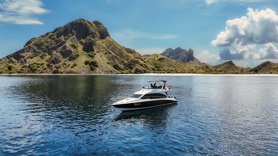 Komodo Full Day Speedboat Tour from Labuan Bajo - Key highlights worth planning around
