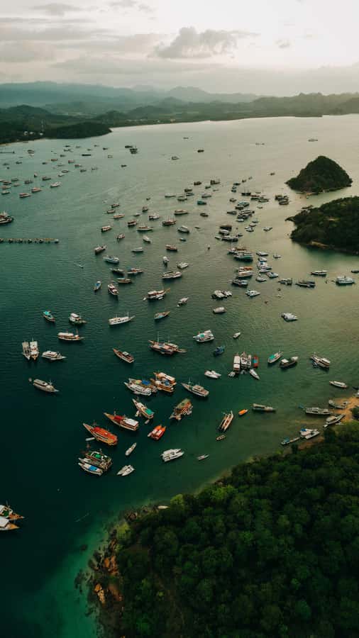 Komodo Full Day Speedboat Tour from Labuan Bajo - Pink Beach swimming and snorkeling: the fun break in the middle