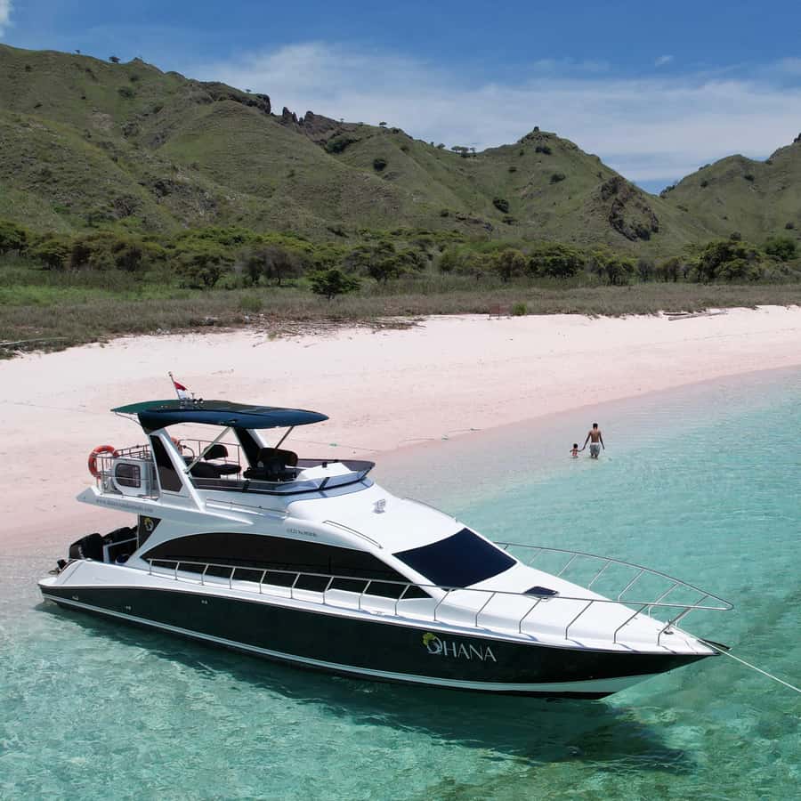 Komodo Full Day Speedboat Tour from Labuan Bajo - Pulau Makasar and Kanawa Island: more water time, more chances to enjoy it
