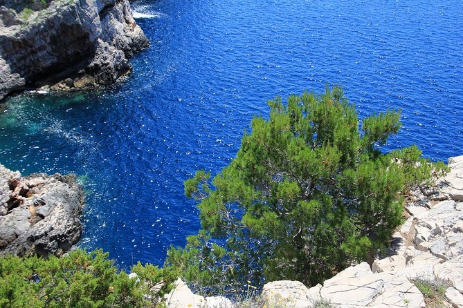 KORNATI by speed boat - Key things to know before you go