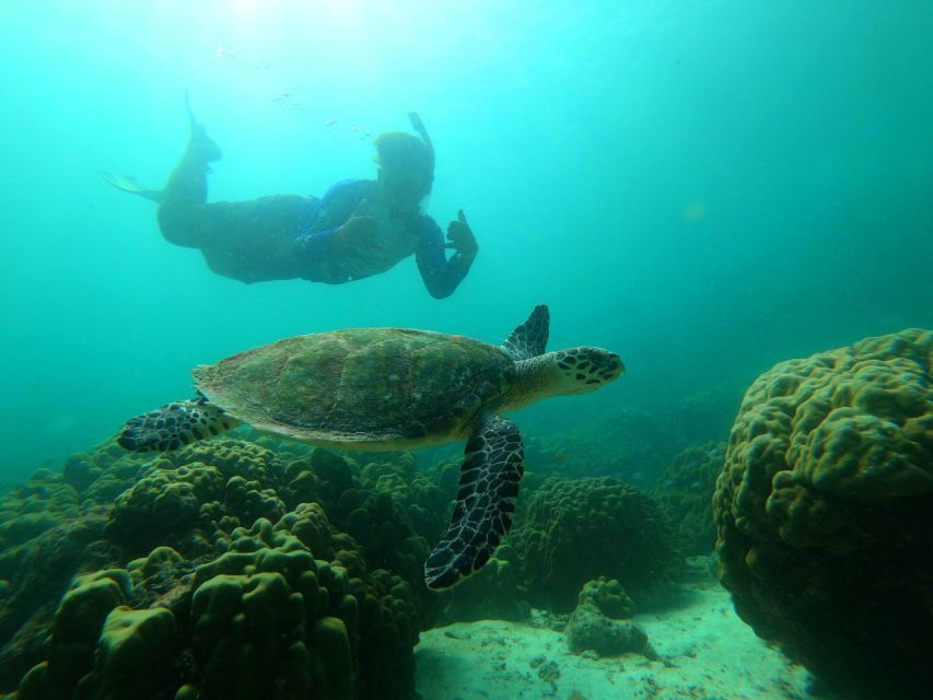 Krabi: Koh Rok & Koh Haa Hidden Snorkeling Tour by Speedboat - What to bring (and what to leave behind)