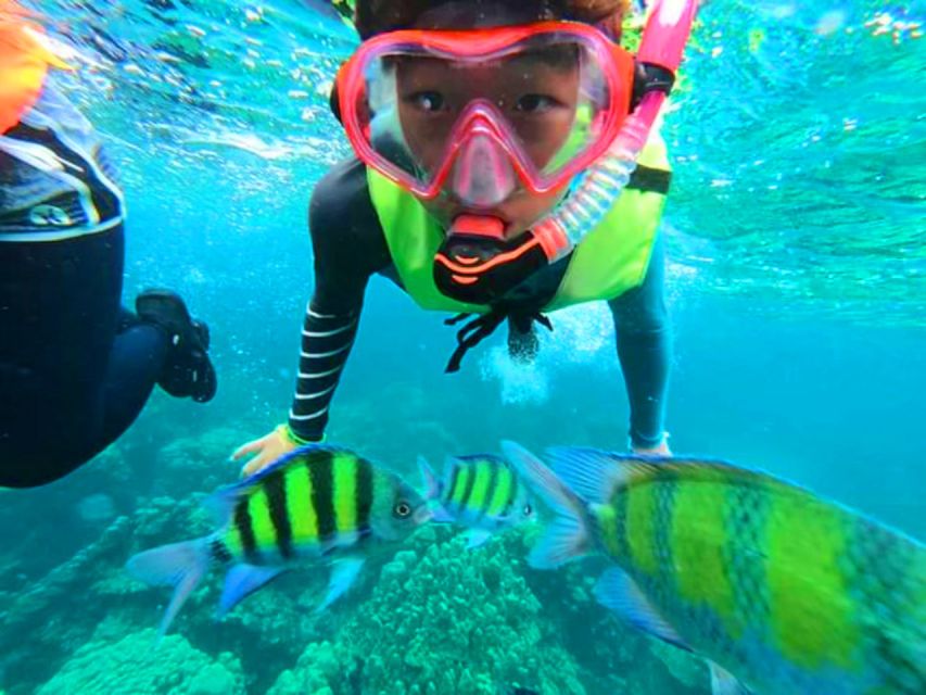 Krabi: Koh Rok & Koh Haa Hidden Snorkeling Tour by Speedboat - Why Koh Rok & Koh Haa feel different in the Andaman