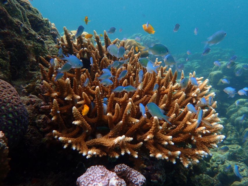 Krabi: Koh Rok & Koh Haa Hidden Snorkeling Tour by Speedboat - Man Sai Beach break: sand, sun, and a little patience