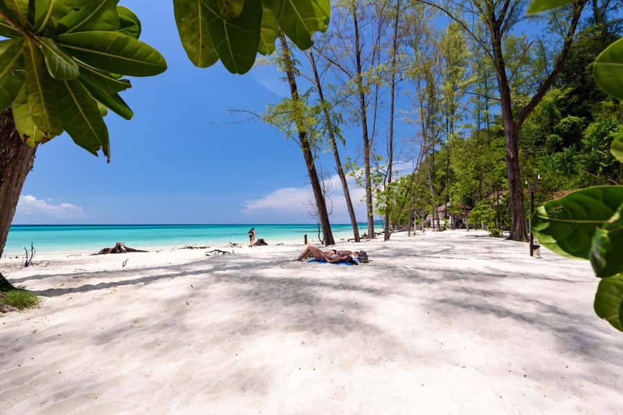Krabi: Phi Phi & 4 Islands Sunset Tour by Speedboat - Monkey Beach and the reality of wildlife encounters