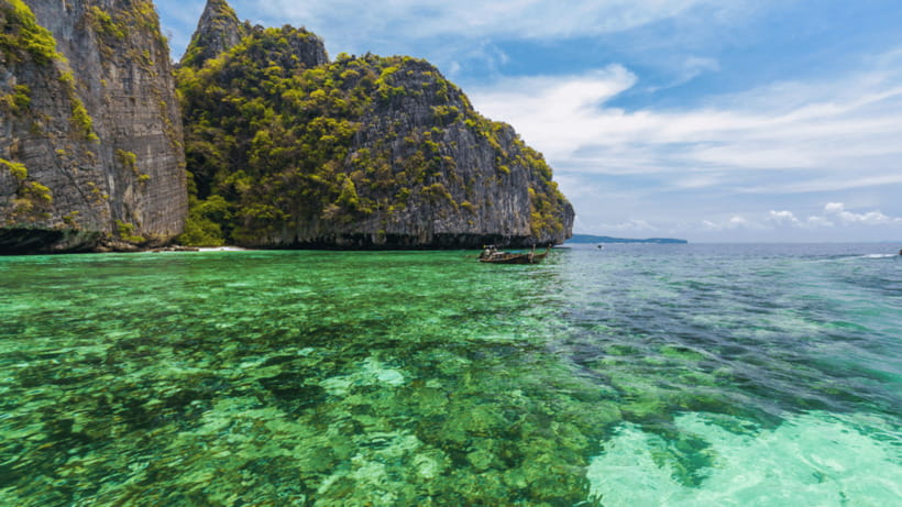 Krabi Phi Phi & Bamboo Island One Day Tour By Speed Boat - Hin Pae snorkeling: colorful fish and coral reef time