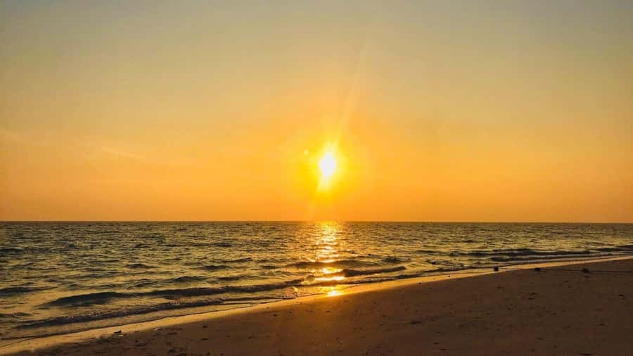 Krabi: Phi Phi Early Bird & 4 Island by Speedboat with Lunch - Pickup timing, meeting points, and how to avoid the chaos at the pier
