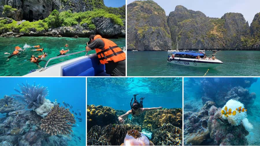 Krabi: Phi Phi Early Bird & 4 Island by Speedboat with Lunch - Viking Cave and Monkey Beach: spotting the details from the boat