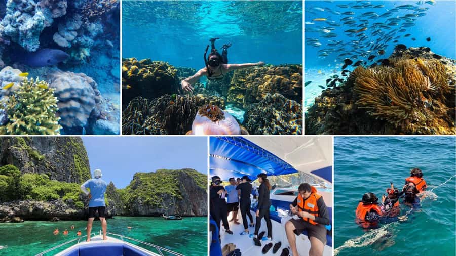 Krabi: Phi Phi Islands Full-Day Private Speedboat Charter - Viking Cave and Monkey Beach: quick stops with real payoff