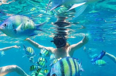 Krabi to Phi Phi Islands by Speedboat - Getting Started in Krabi: 8:30 Departure and Hotel Pickup