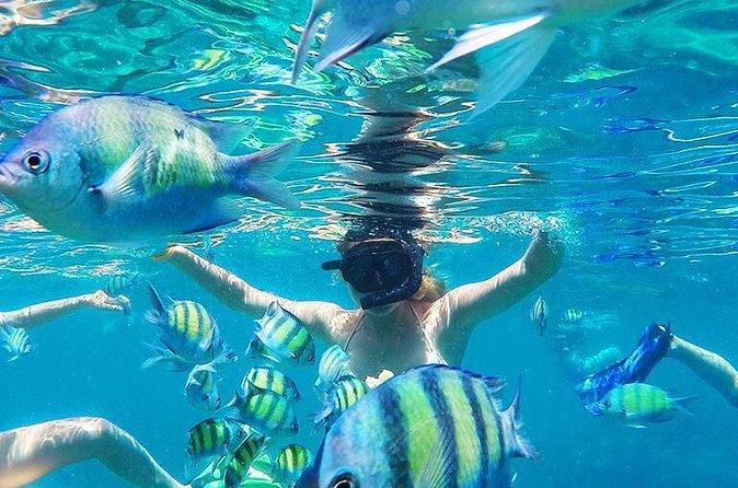 Krabi to Phi Phi Islands by Speedboat - Getting Started in Krabi: 8:30 Departure and Hotel Pickup