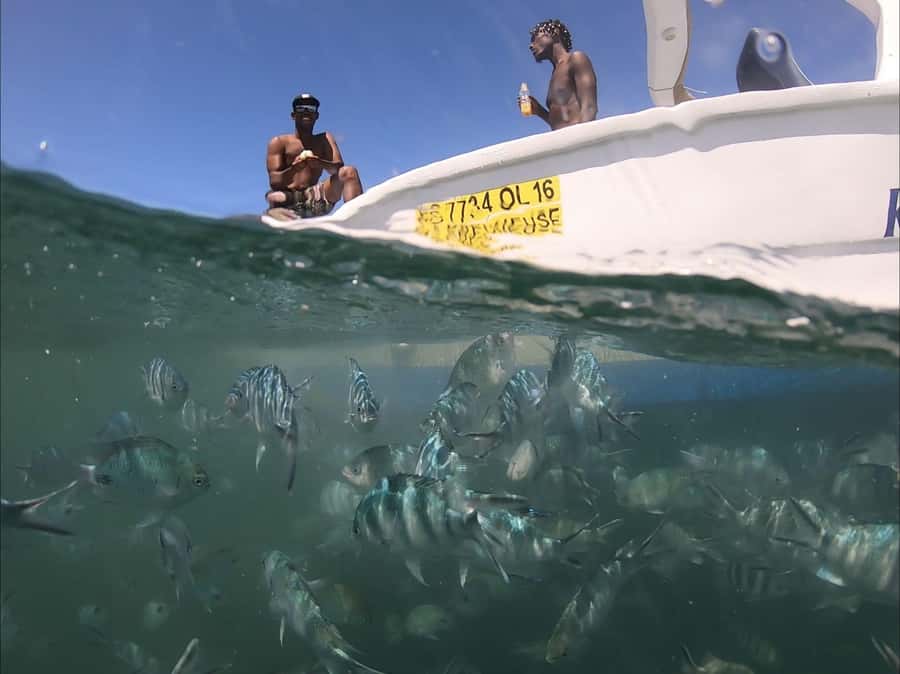 La Preneuse: Dolphin Watching and Snorkeling Speedboat Tour - Meeting at La Tour Martello on La Preneuse Beach