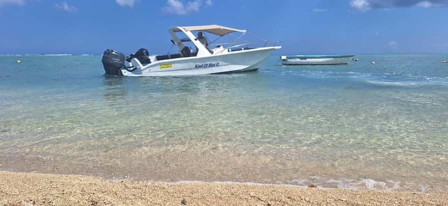 La Preneuse: Dolphin Watching and Snorkeling Speedboat Tour - Price and value: what $58 buys in real time