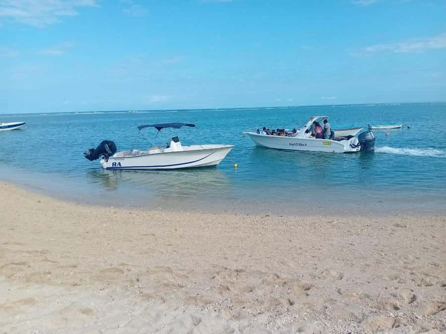 La Preneuse: Dolphin Watching and Snorkeling Speedboat Tour - What the group experience feels like on the water