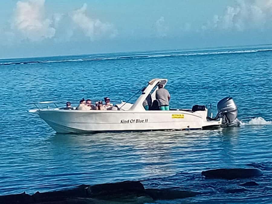 La Preneuse: Dolphin Watching and Snorkeling Speedboat Tour - Who should book (and who should skip)