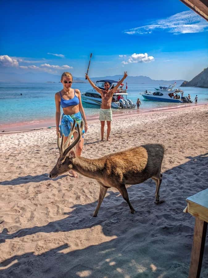 Labuan bajo: One Day Komodo Private & Shared Speedboat Trip - Manta Point snorkeling: snorkeling that tries for magic