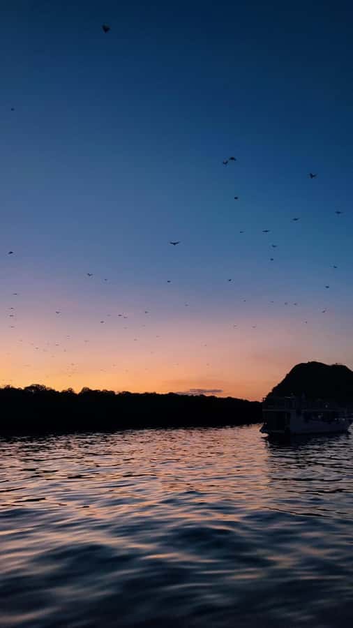 Labuan bajo: One Day Komodo Private & Shared Speedboat Trip - Lunch on a pristine beach: the meal break that doesn’t feel like filler