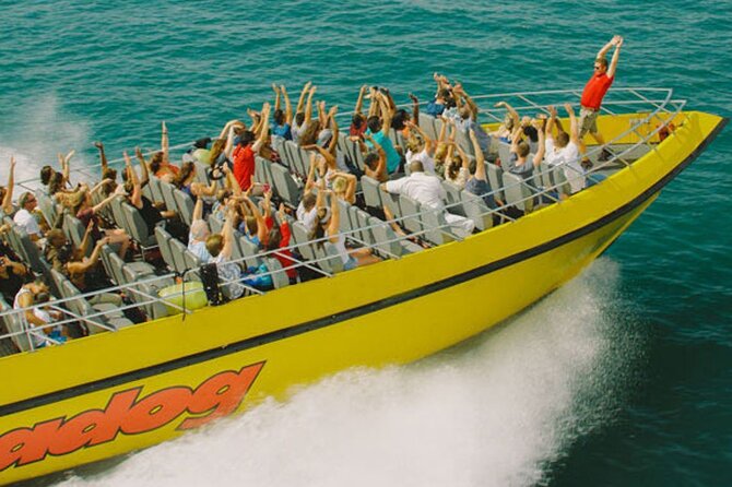 Lake Michigan 30-Minute Speedboat Ride - Museum Campus and the Quick History Stops That Actually Fit 30 Minutes