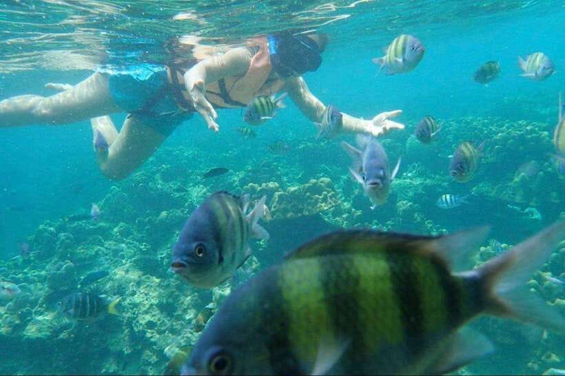 Langkawi: Dangli Island Snorkel and Swim Speedboat Tour - Lunch by the mangroves: when you want food without rushing
