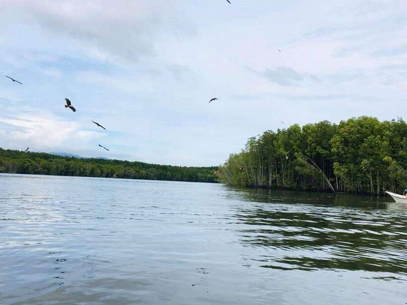 Langkawi: Tanjung Rhu Mangrove Speedboat Tour - Crocodile Cave: Rock Formations That Look Like Stories