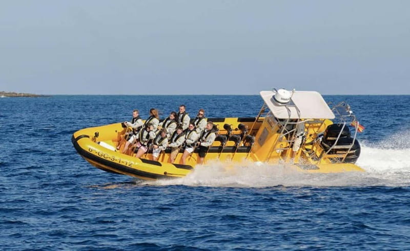 Lanzarote: Dolphin Watching by speedboat - What happens on the water: a realistic wildlife-search rhythm