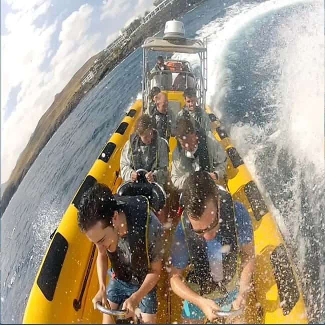 Lanzarote: Dolphin Watching by speedboat - Price and value: is $77 worth it?