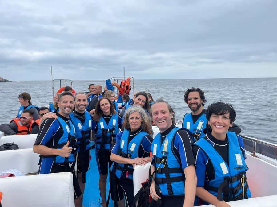 Lima: Palomino Islands Speedboat Tour & Swim with Sea Lions - Key points to know before you go