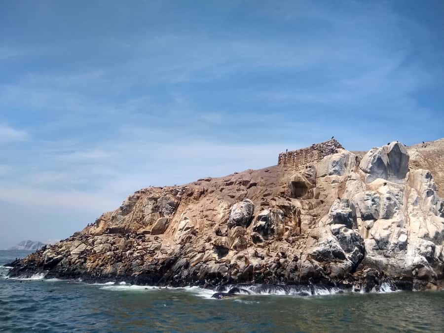 Lima: Palomino Islands Speedboat Tour & Swim with Sea Lions - The swim with sea lions: gear, comfort, and simple etiquette