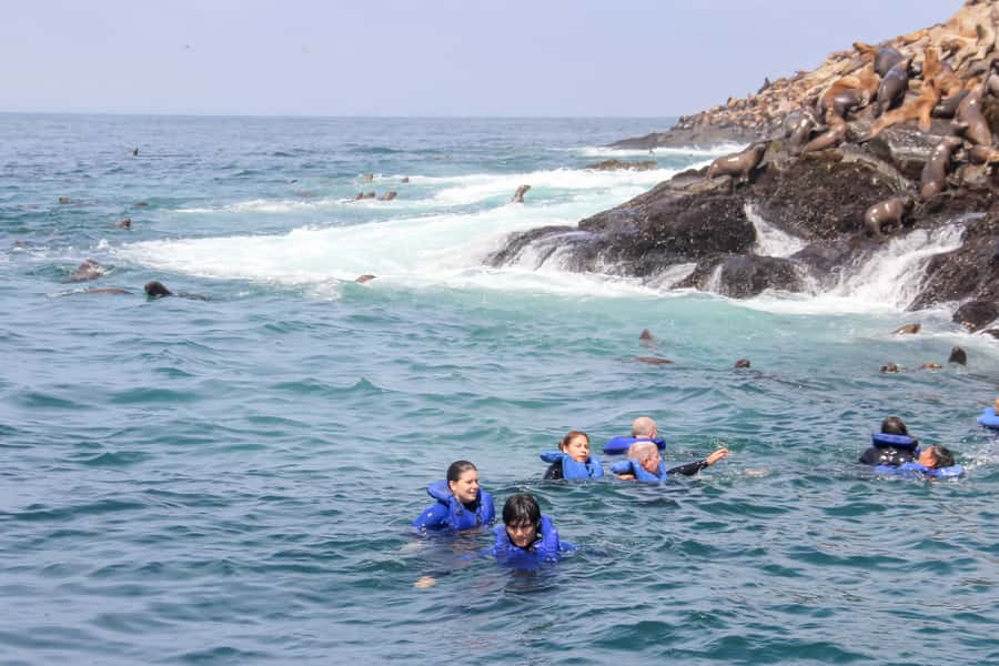 Lima: Palomino Islands Speedboat Tour & Swim with Sea Lions - What’s included on board (and what you should bring anyway)