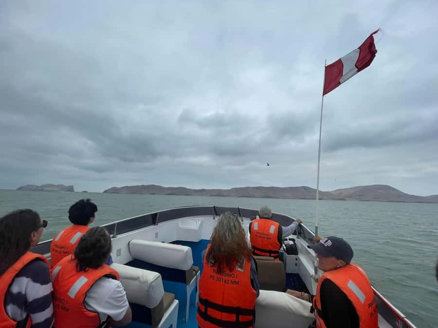 Lima: Palomino Islands Speedboat Tour & Swim with Sea Lions - Who should book (and who should skip)