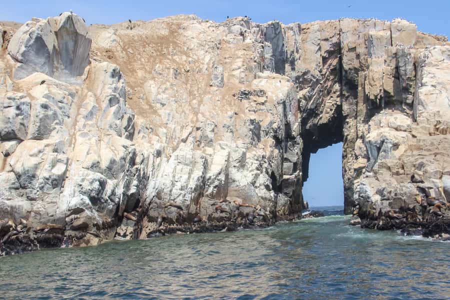 Lima: Palomino Islands Speedboat Tour & Swim with Sea Lions - Getting from central Lima to Callao Harbor (and why timing matters)