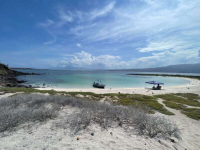 Loreto: Speedboat Tour with Swimming, Snorkeling and Picnic - Bahia de Loreto National Park: What UNESCO Means on the Water