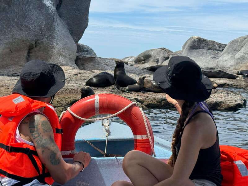 Loreto: Speedboat Tour with Swimming, Snorkeling and Picnic - The Deserted Beach Picnic Stop: A Calm Reset