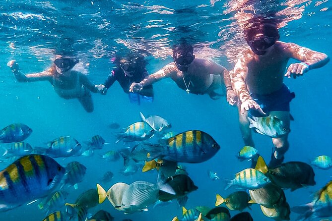 Los Cabos Snorkeling Tour by Speed Boat with Photos Included - Key things to know before you go