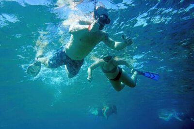 Los Cabos Snorkeling Tour by Speed Boat with Photos Included - What the 3-hour snorkeling experience is really like