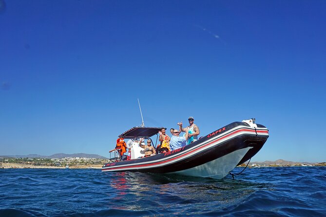 Los Cabos Snorkeling Tour by Speed Boat with Photos Included - Included snacks, water, and juice boxes: small details that help