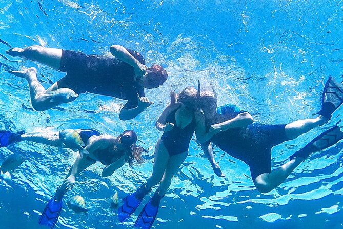 Los Cabos Snorkeling Tour by Speed Boat with Photos Included - Photos and videos included: the real value of this tour