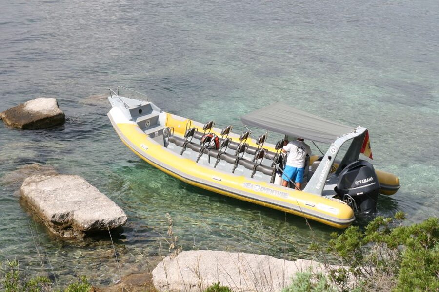 Mallorca : Speedboat, Snorkelling and Swimming Adventure - Why Formentor’s coastline is perfect for a speedboat day