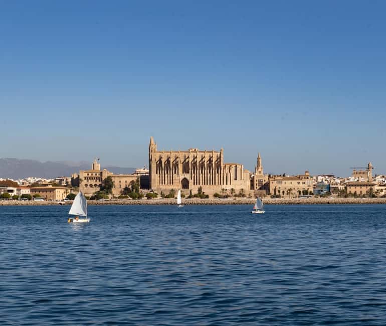 Mallorca: Visit Palma Speedboat adrenaline & snorkelling - Palma by boat: the Cathedral views (and a quick sightseeing window)