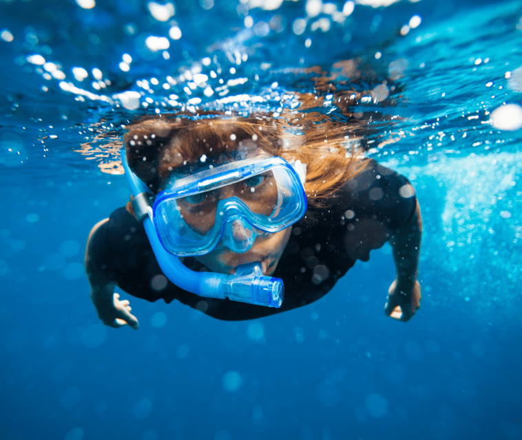 Mallorca: Visit Palma Speedboat adrenaline & snorkelling - The snorkel and swim stop in Palma Bay