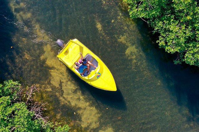 Mangrove Jungle Speedboat Experience - Pilot Your Own Speedboat: Fun With Structure