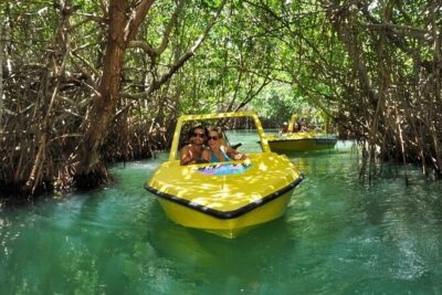 Mangrove Jungle Speedboat Experience - Price and Logistics: Budgeting Beyond the $49